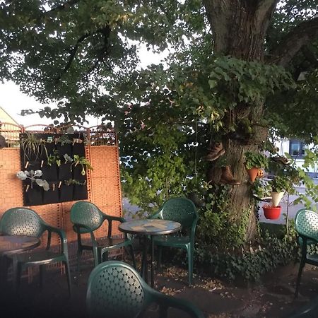 Hotel Zur Eiche Oberthal Dış mekan fotoğraf