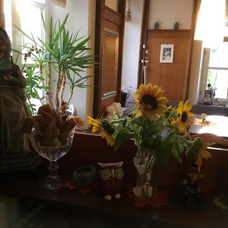 Hotel Zur Eiche Oberthal Dış mekan fotoğraf